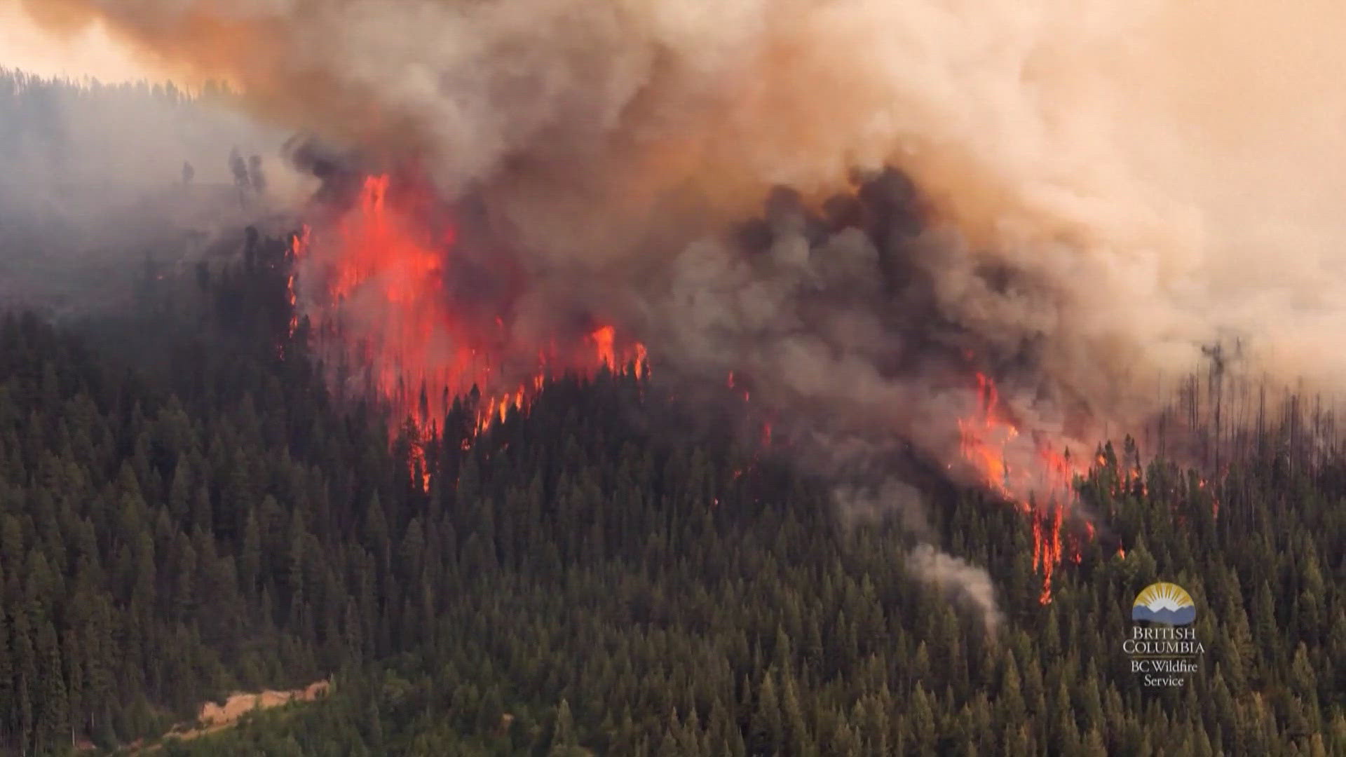 Wildfire devastates Jasper, Alberta, Canada