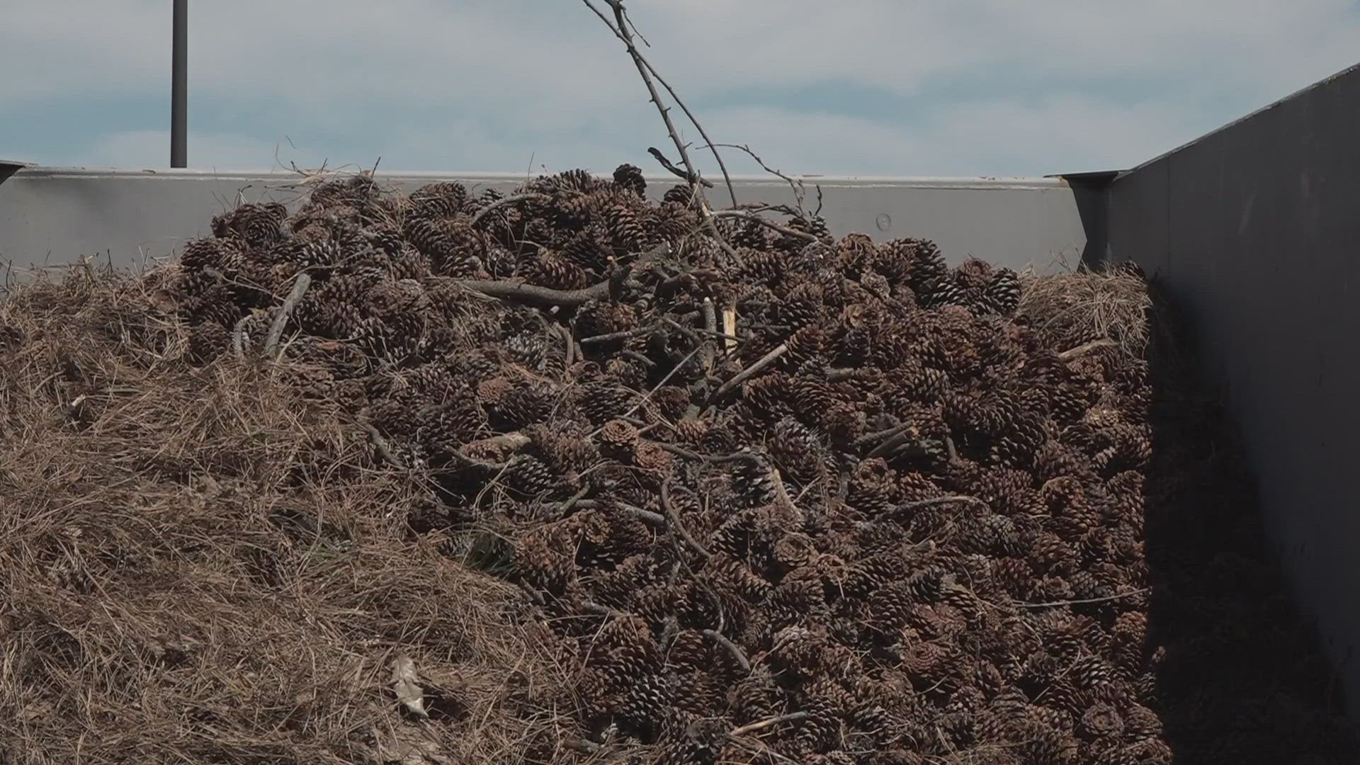 The Spokane Valley Fire Department disposed thousands of tree branches. The department urges people to clear flammable debris away from your home.