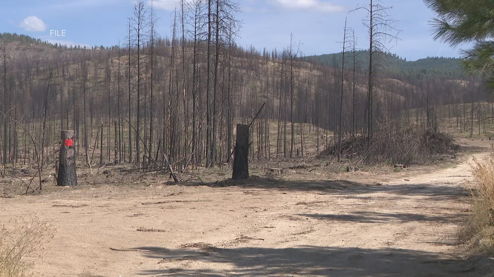 DNR has awarded five grants totaling over $900,000 to communities affected by wildfires.