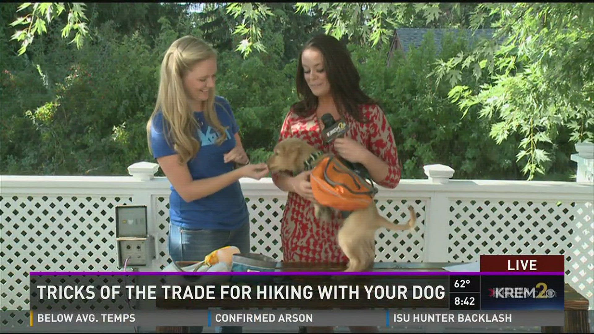 Carol Christensen from REI in Spokane is back on KREM 2 Morning News on Wednesday. This time, she's giving us some tricks on hiking with your dog!