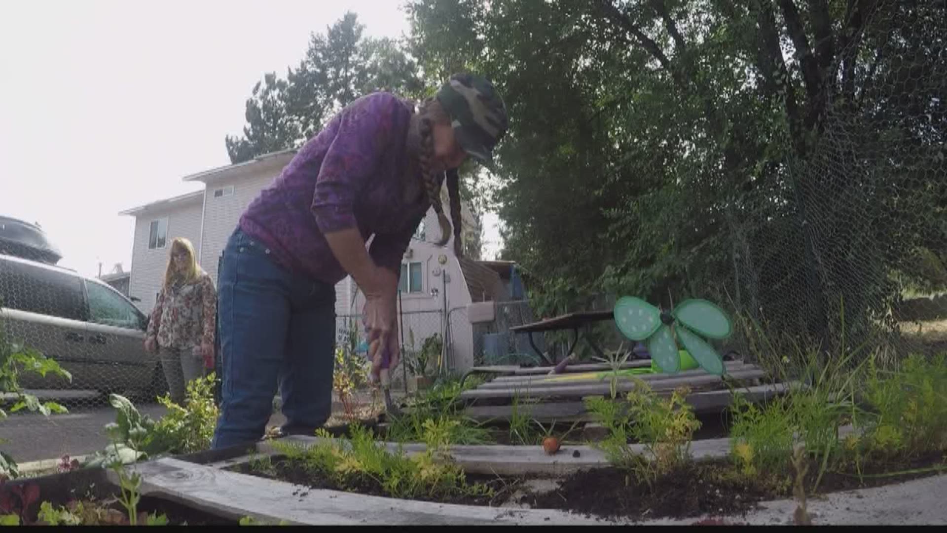 Domestic abuse survivors turn to gardening (10-1-18)
