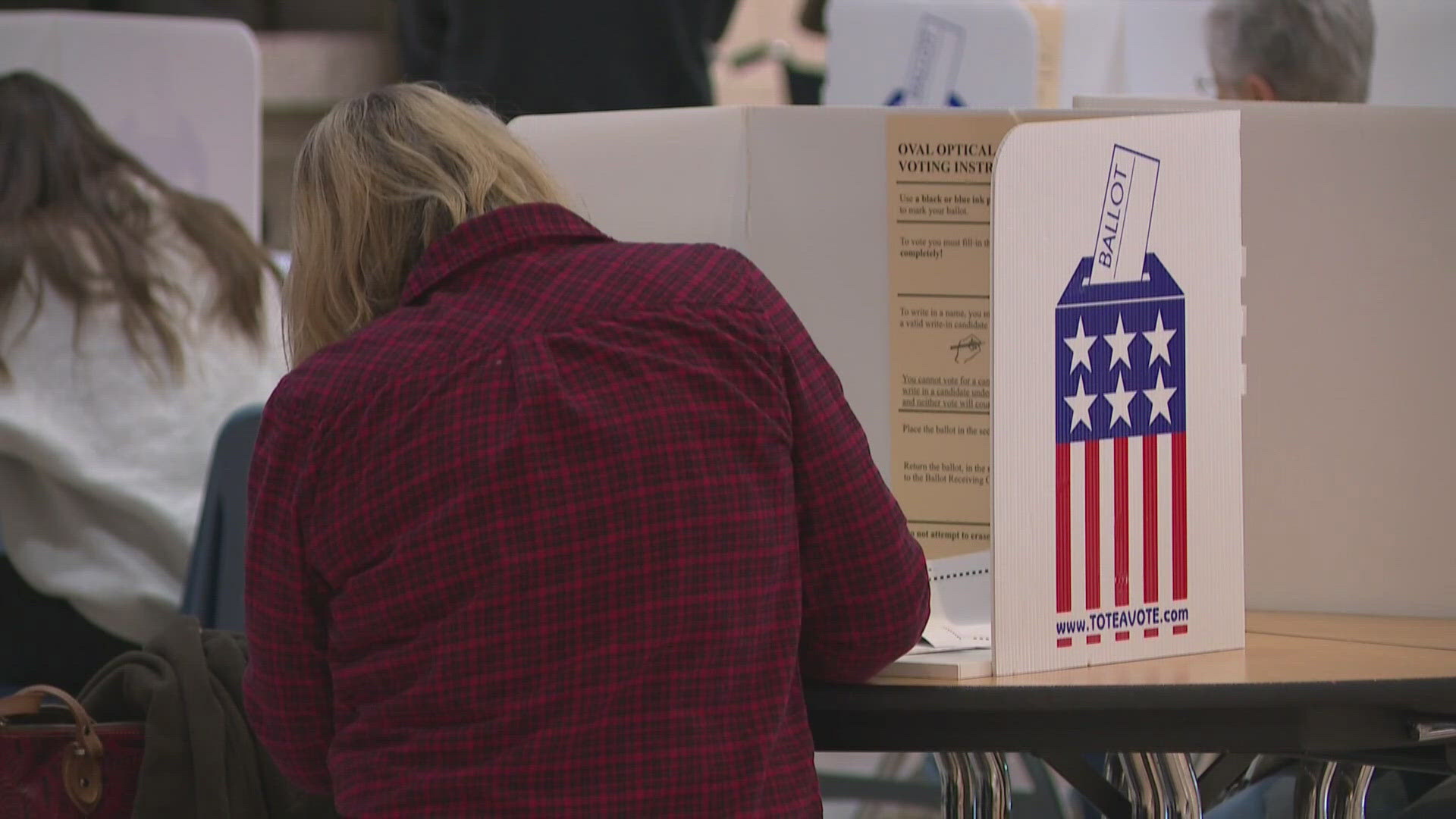 Here's a look at what's on the ballot, depending on your district.