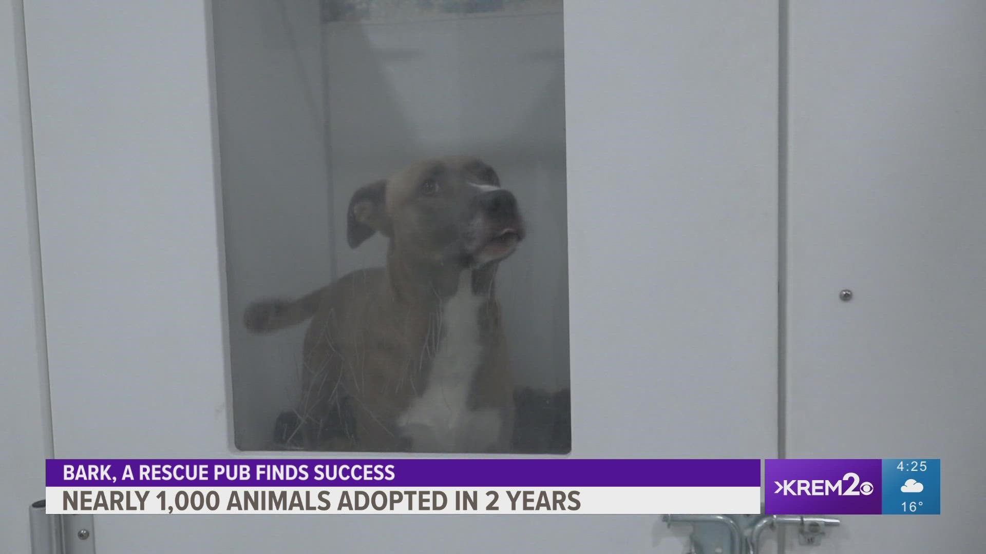 While other businesses struggled through the pandemic, Co-owner Josh Wade said Bark managed to adopt out nearly 1,000 animals in two years.