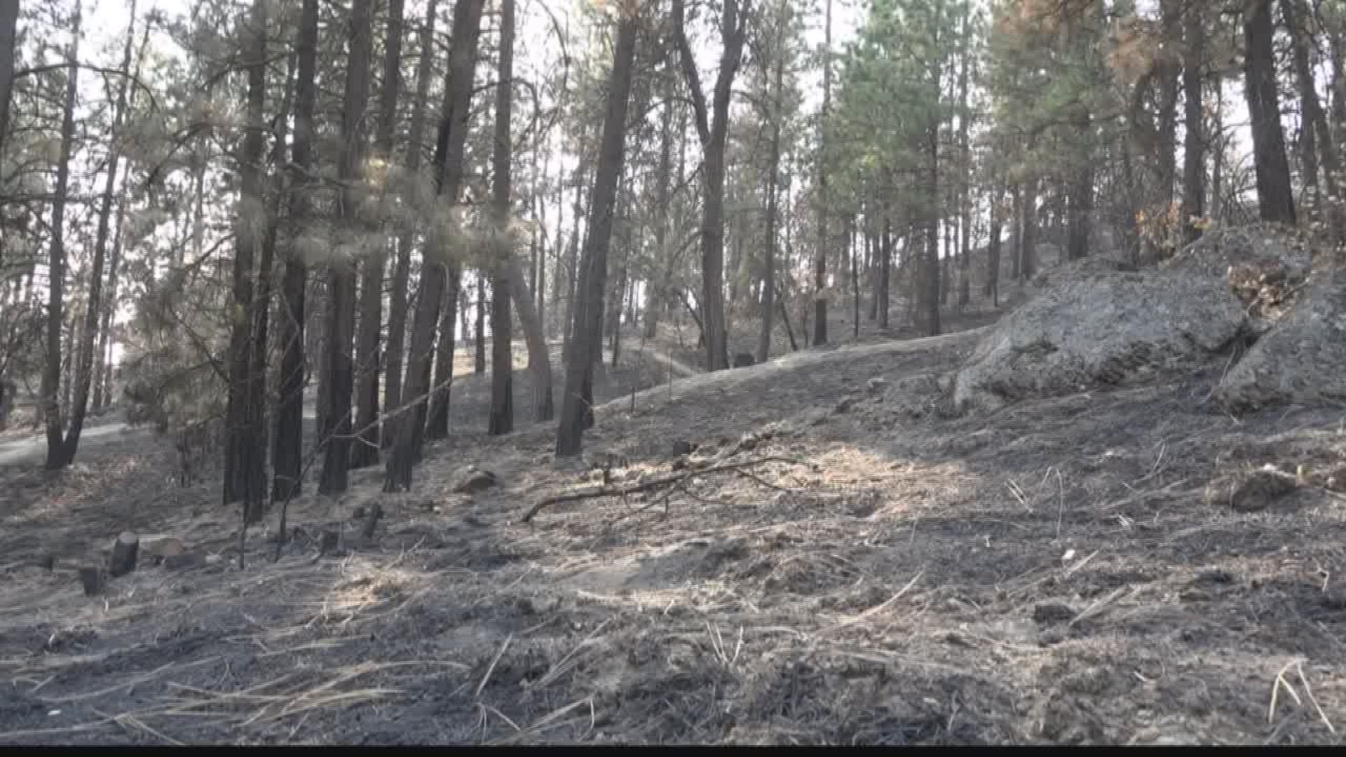 Restoration efforts begin for Camp Sekani Park after Upriver Beacon Fire (8-9-18)