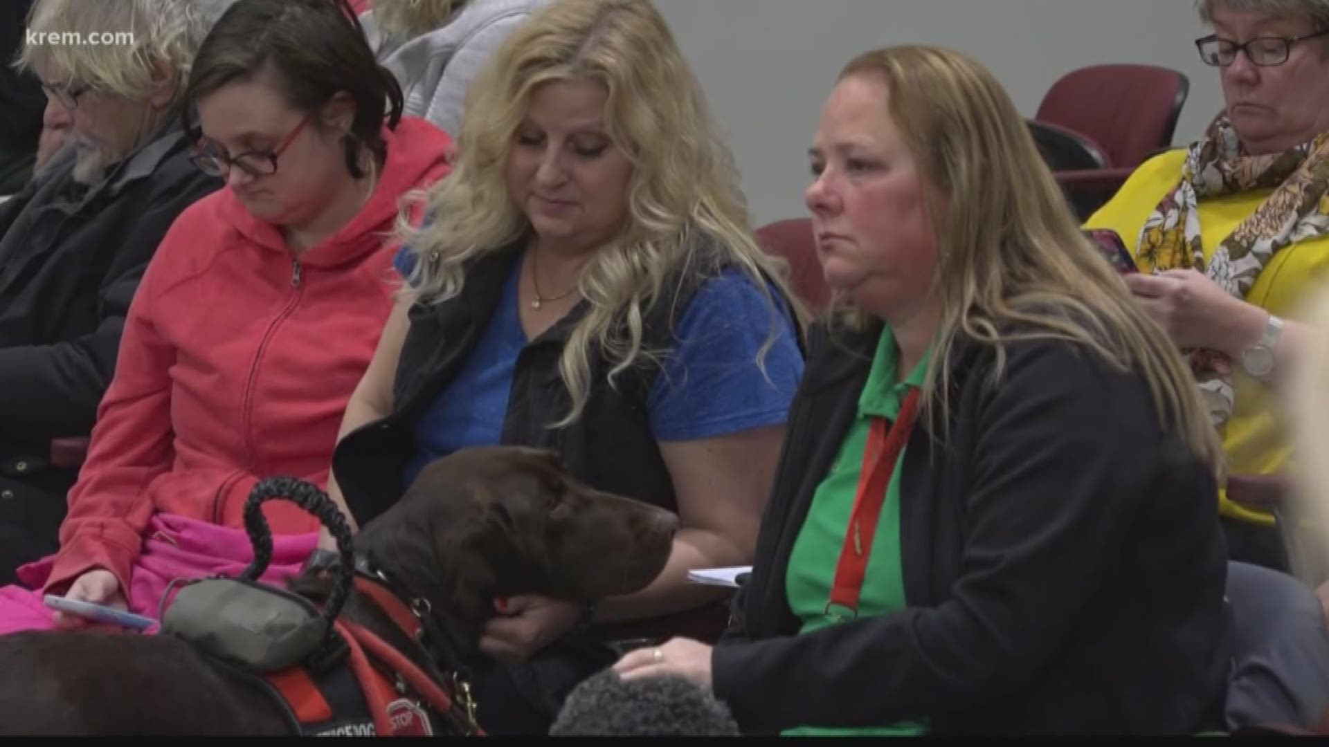 The ordinance allows an enforcement officer or owner of a public accommodation to ask if a service animal is required because of a disability and what task the animal is trained to do.