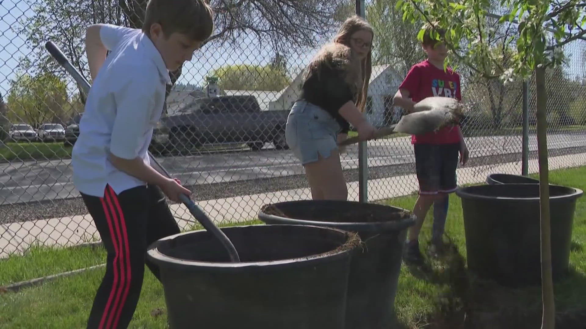 Arbor Day celebrations in Coeur d'Alene include replacing street trees that died last winter. Volunteers got to learn about why trees are so important for the Earth.