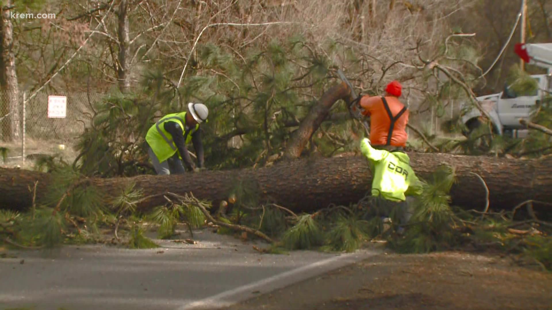 Crews Respond To Downed Tree In Spokane Valley