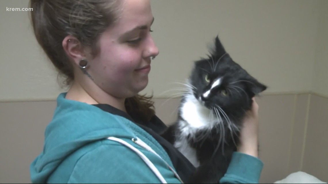 Domestic violence victims hesitate before leaving their house as they fear leaving their pets behind - Vimarsana News
