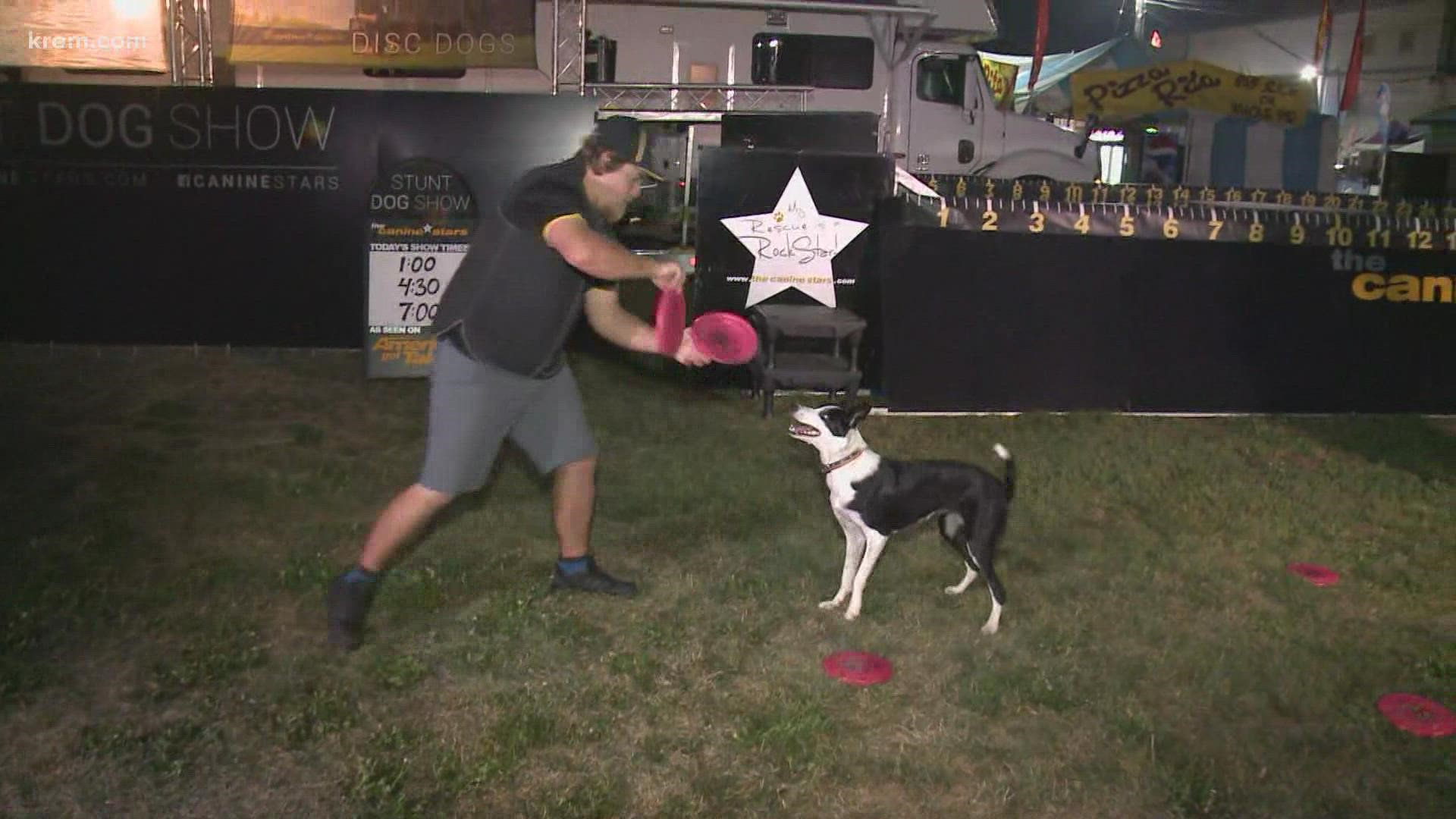A  dog trick show featured on America's Got Talent will be featured at the fair this year.