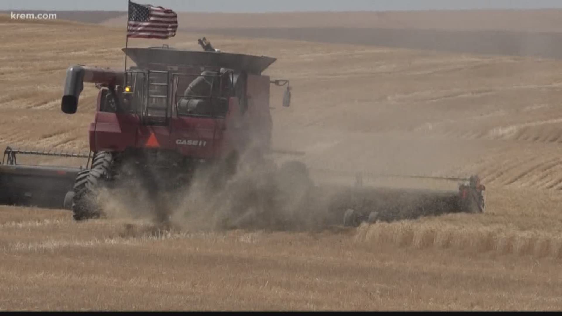 Ritzville farmers harvest crop for neighbor with cancer