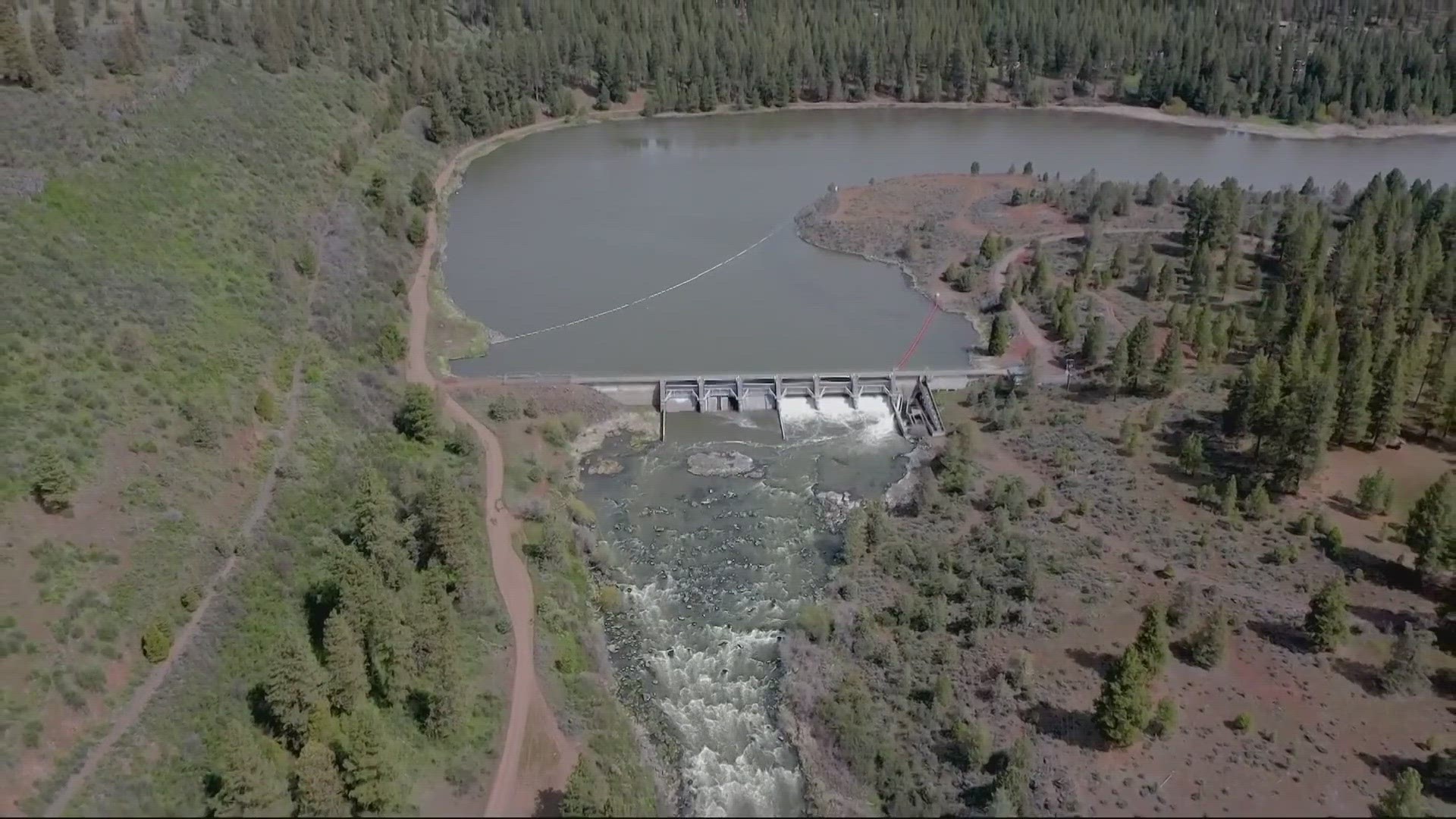 Right now, the federal government is considering a plan to breach four dams along the Snake River.