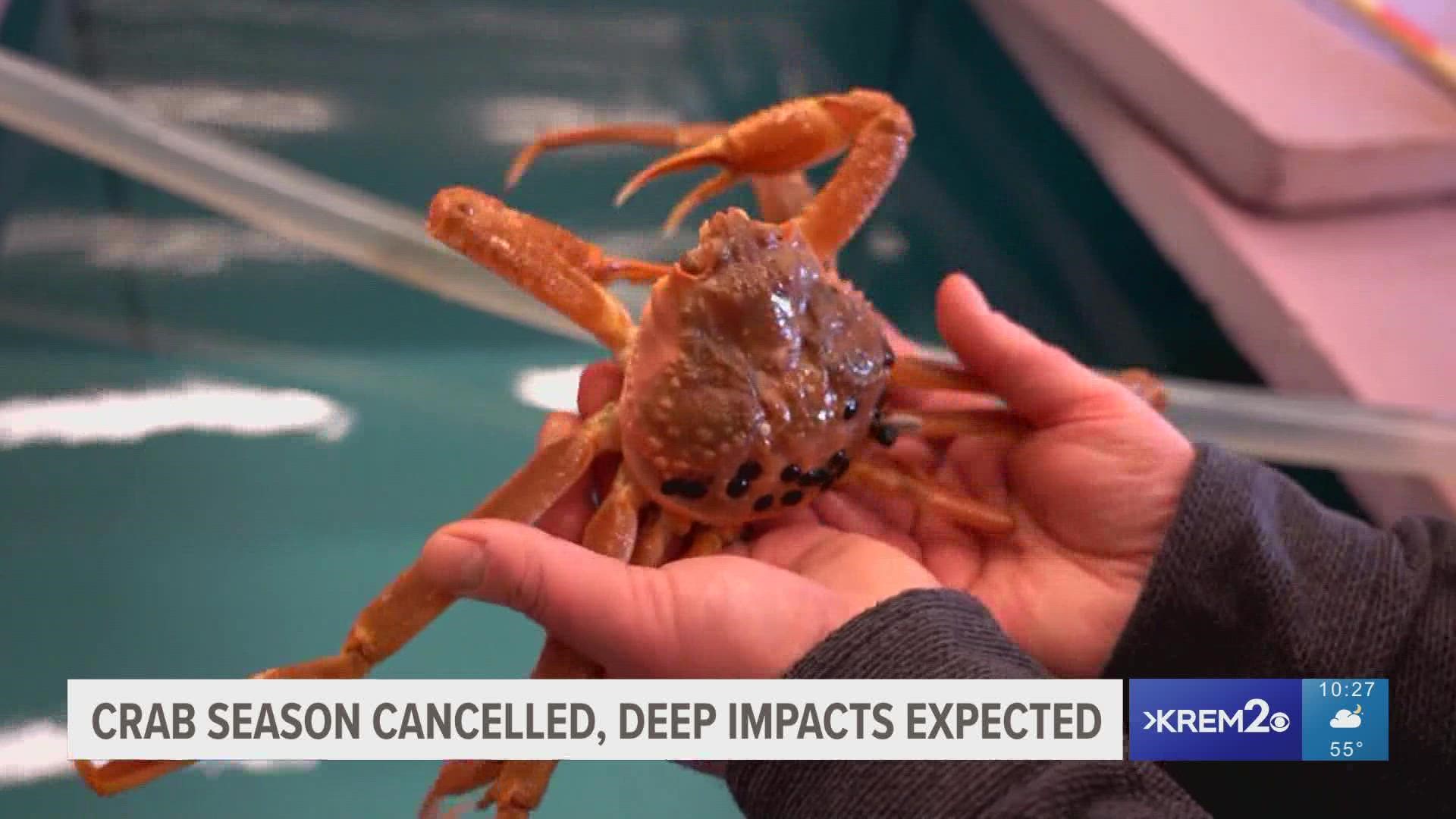 For the first time in US history, the Bering Sea snow crab harvest is closed and for the second consecutive year, so is the Bristol Bay red king Crab harvest.