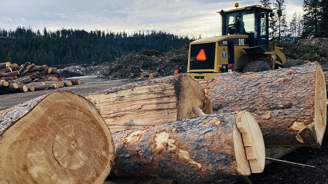 Kootenai County transfer stations still feeling windstorm impacts - Vimarsana News