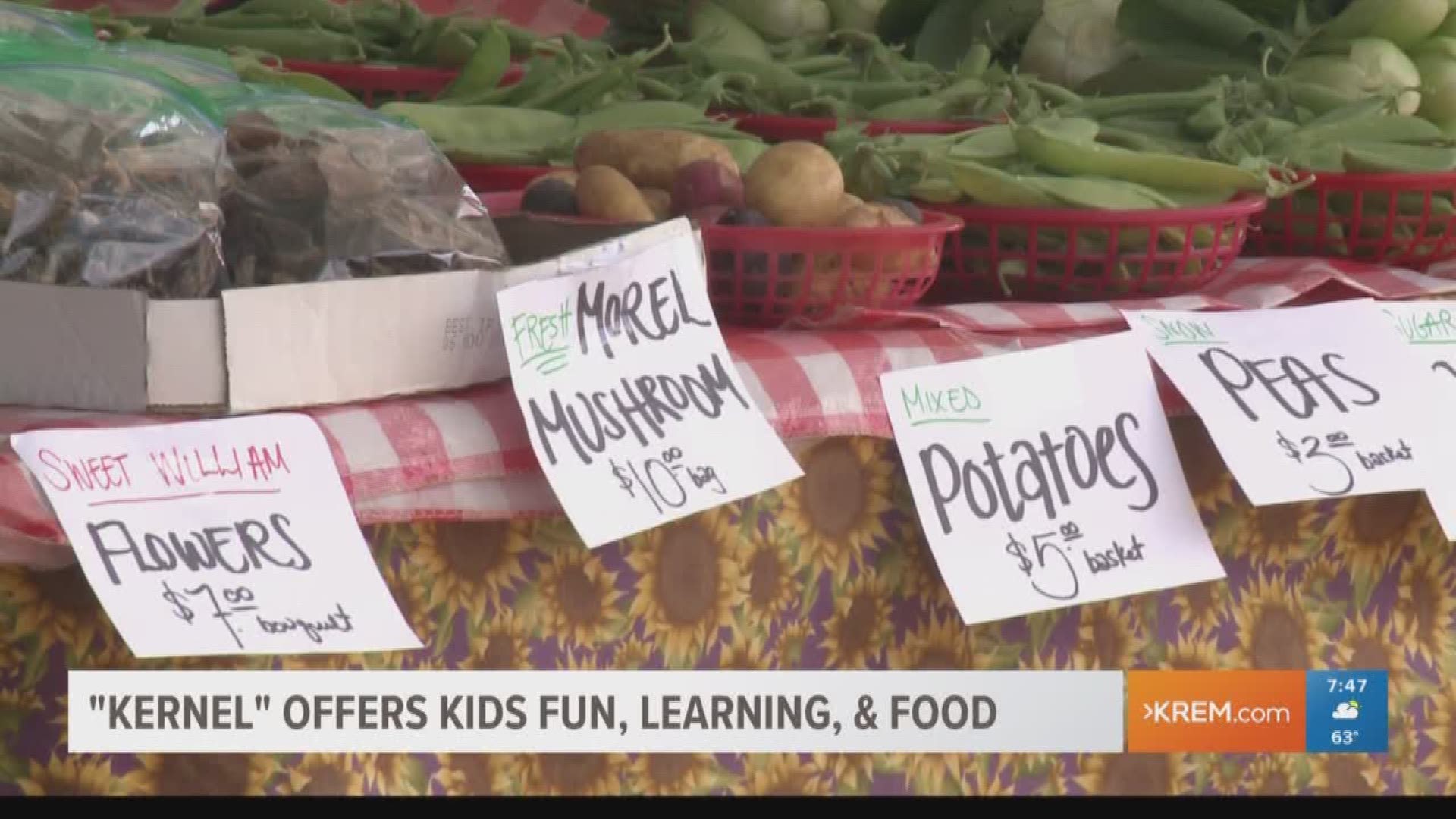 'KERNEL' program offers kids fun, learning, and food (6-21-18)