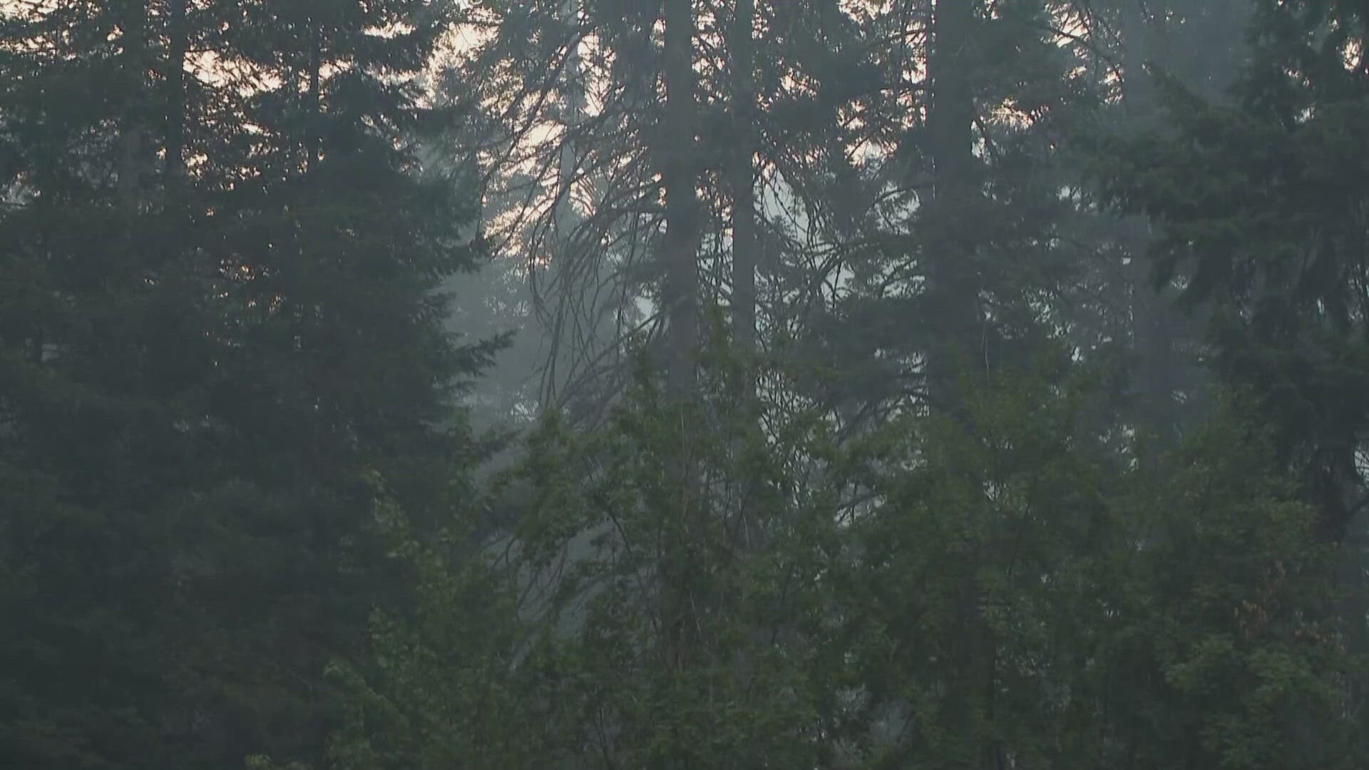 With 100 fire fighters working on the fire, it is currently reported as 0 percent contained