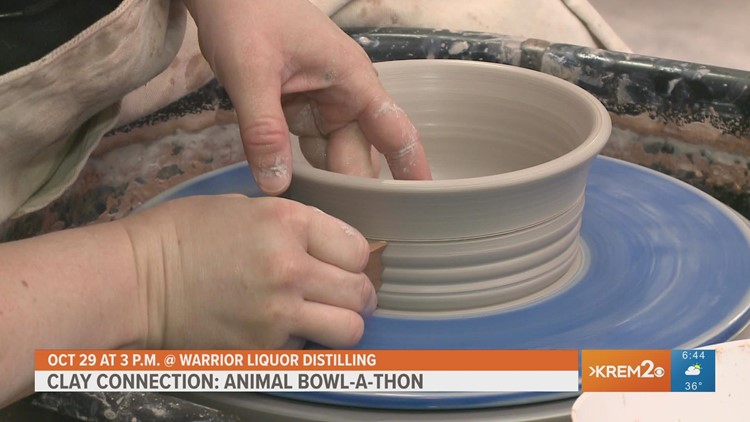 Clay Connection hosting Animal Bowl-A-Thon