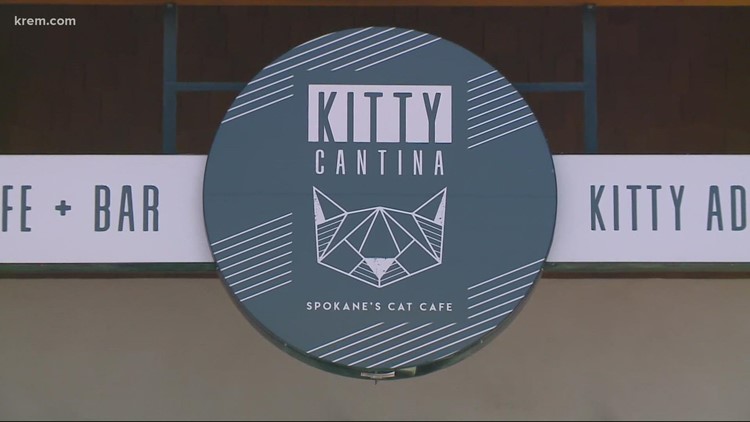 Spokane's Kitty Cantina wins $5,000 grant in Feline Foster Heroes contest
