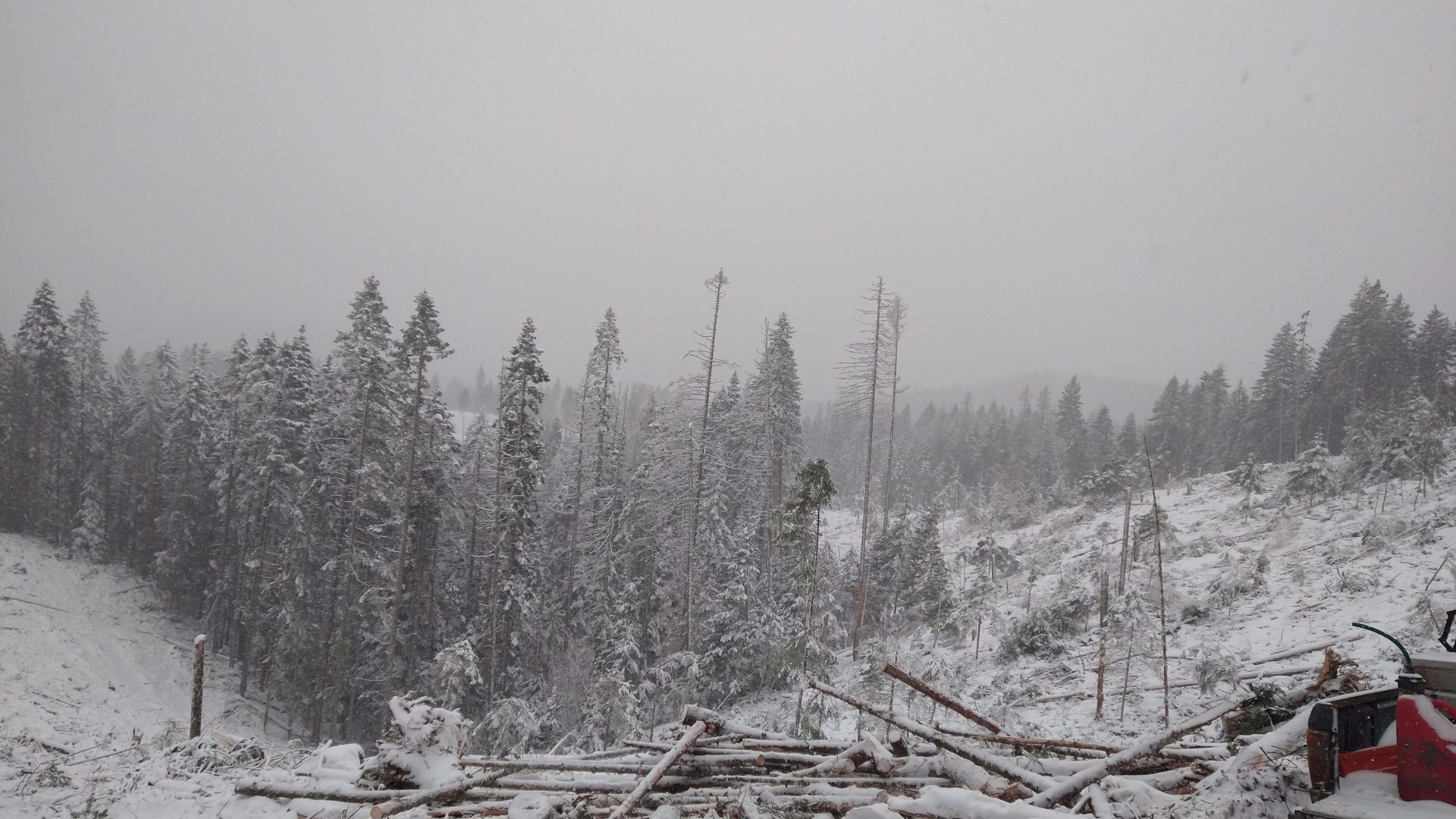 Snow out of Spokane weather forecast after record-breaking storm | krem.com