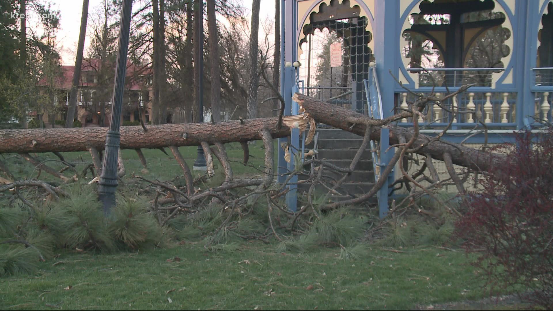 The windstorm that ripped through the Inland Northwest took its toll on Spokane's city parks.