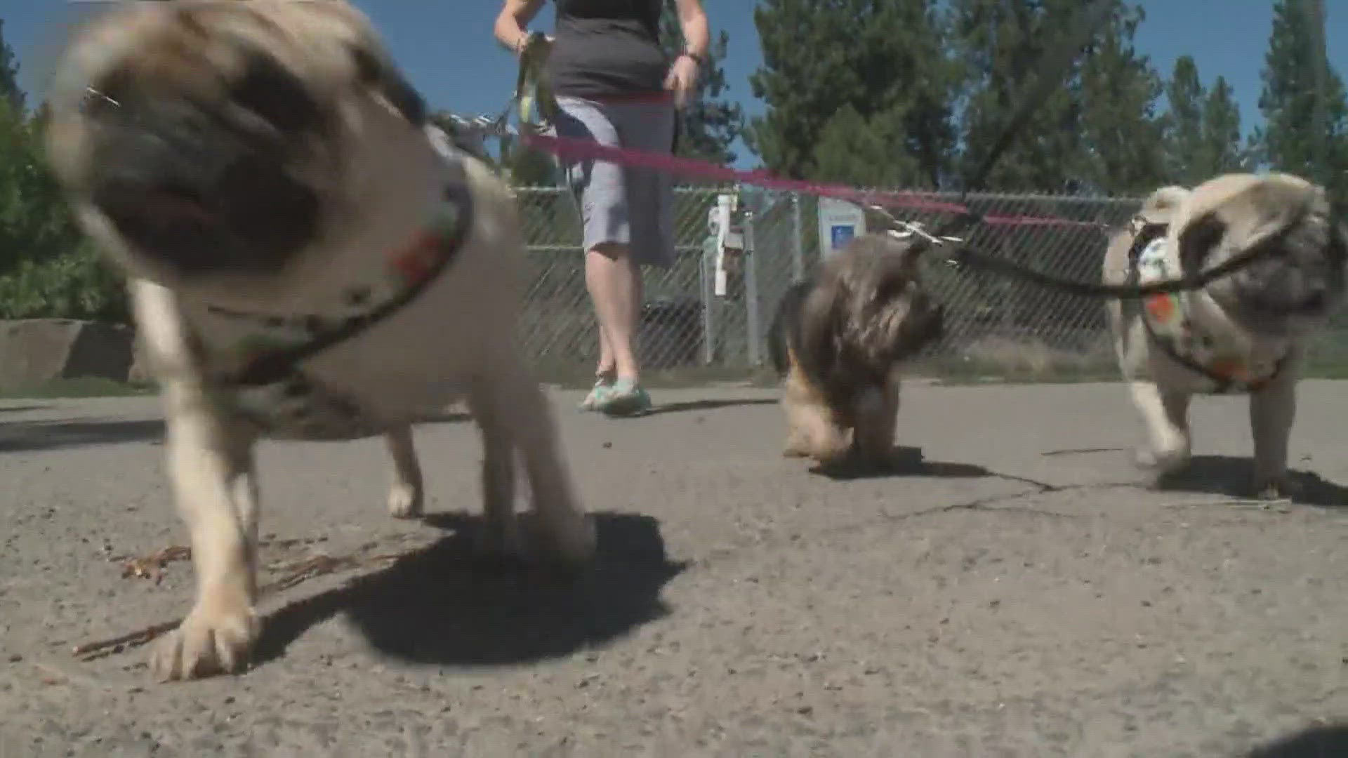 The nearly 10-acre park is centrally located just west of downtown at 330 S. A Street.