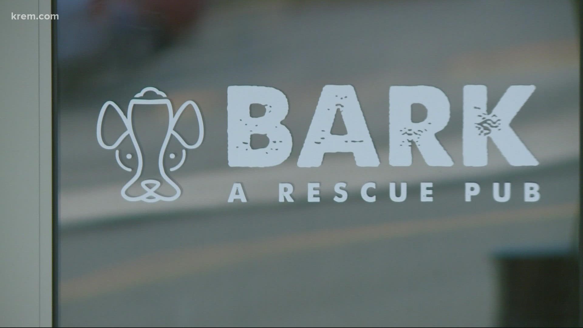 The owner of Bark, A Rescue Pub is growing more frustrated with the level of property crime his business is seeing and wants city council to step in.