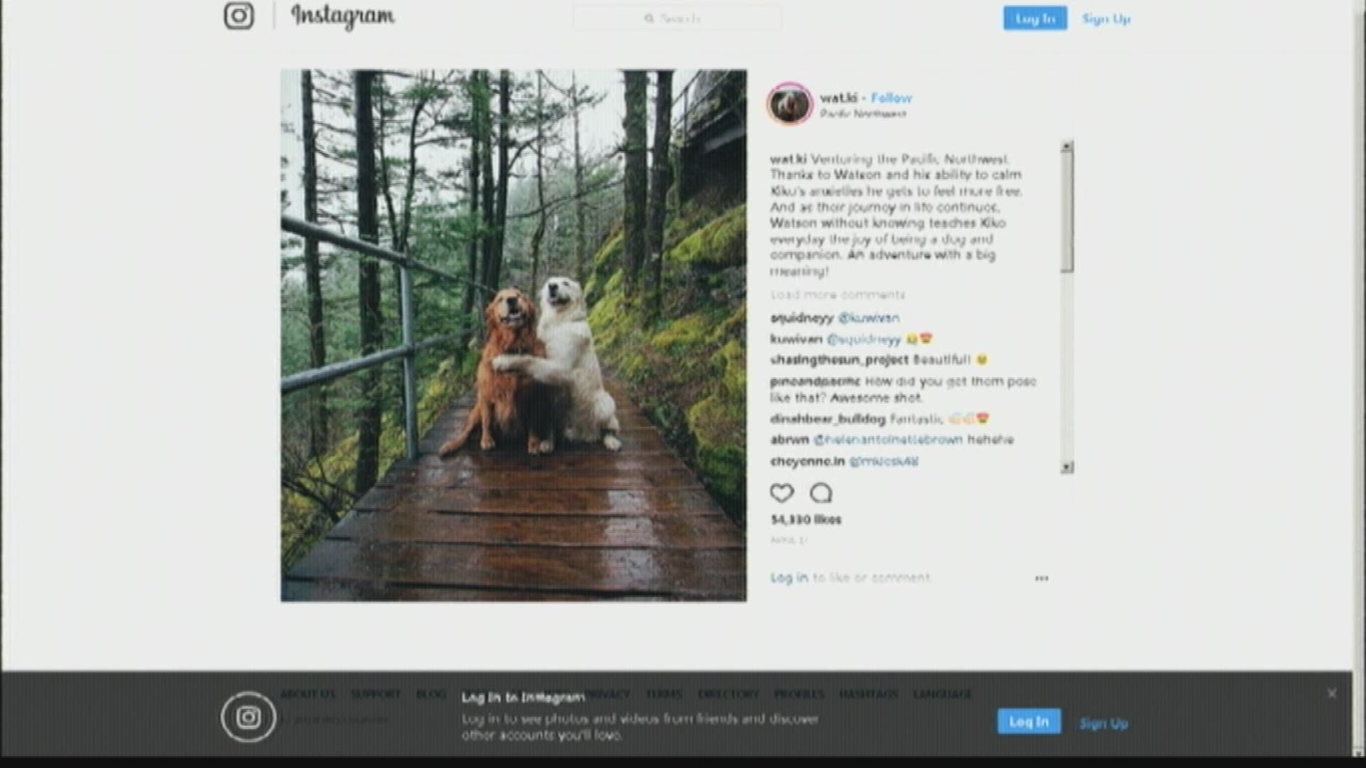 Spokane pet family explores PNW, poses for photos on Instagram (5-9-18)