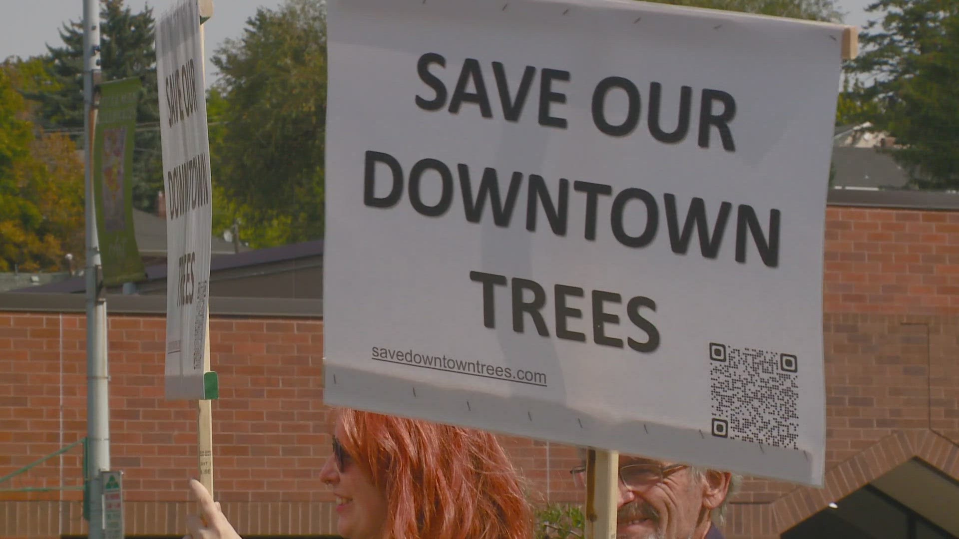 Community members work to drum up support to save Pullman's downtown trees