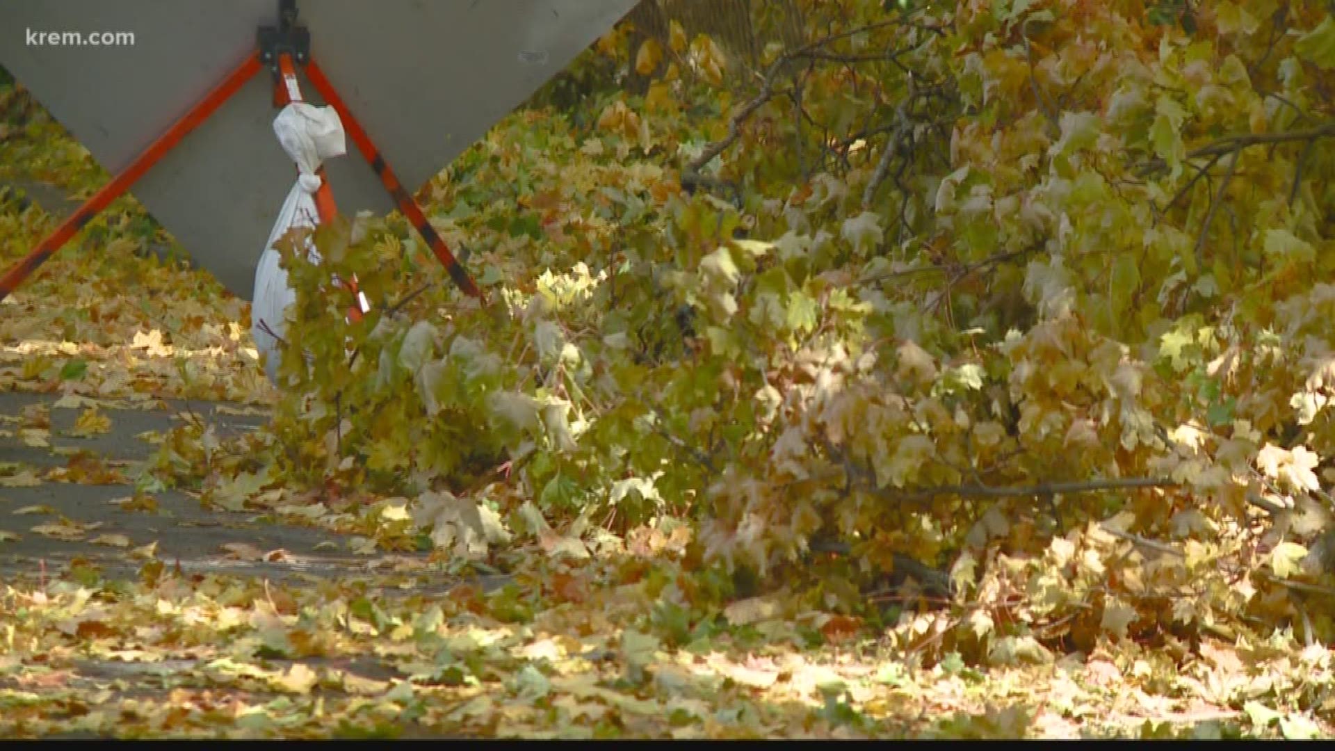 The city is still dealing with tree debris 10 days after the conclusion of a very early snowstorm.