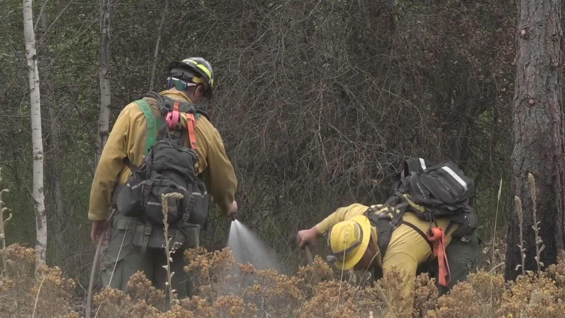 A wildfire awareness event in Cheney will help people prepare for the upcoming wildfire season.
