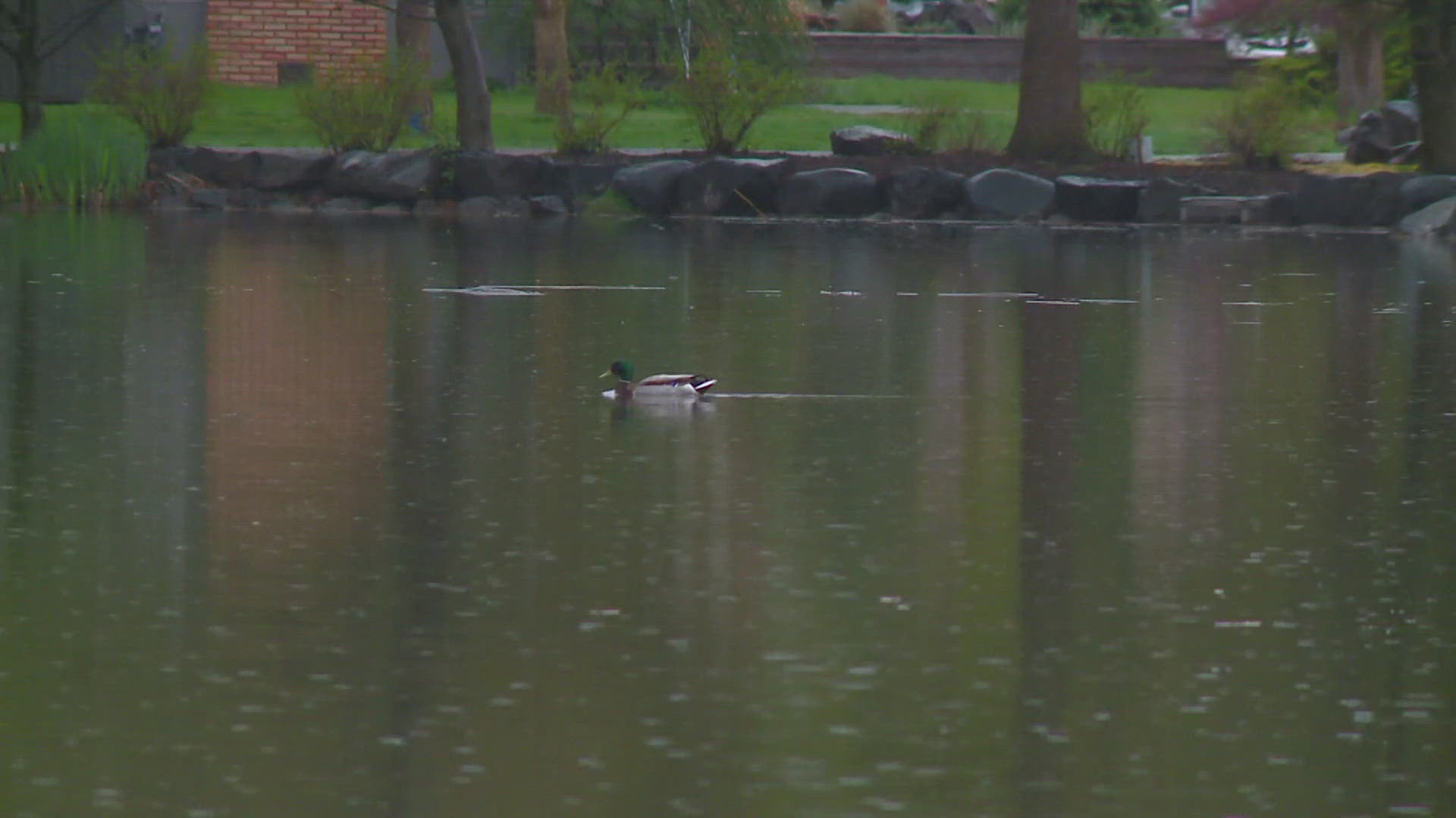 In a list of each state's best public parks, HGTV named Manito Park the top park in Washington.