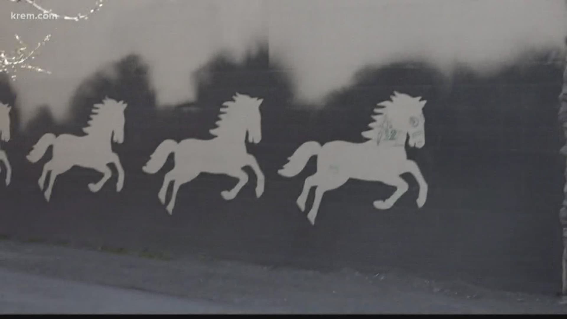 KREM Reporter Tim Pham discovers the artist behind the horse mural on the 4000 holes record store in Spokane.