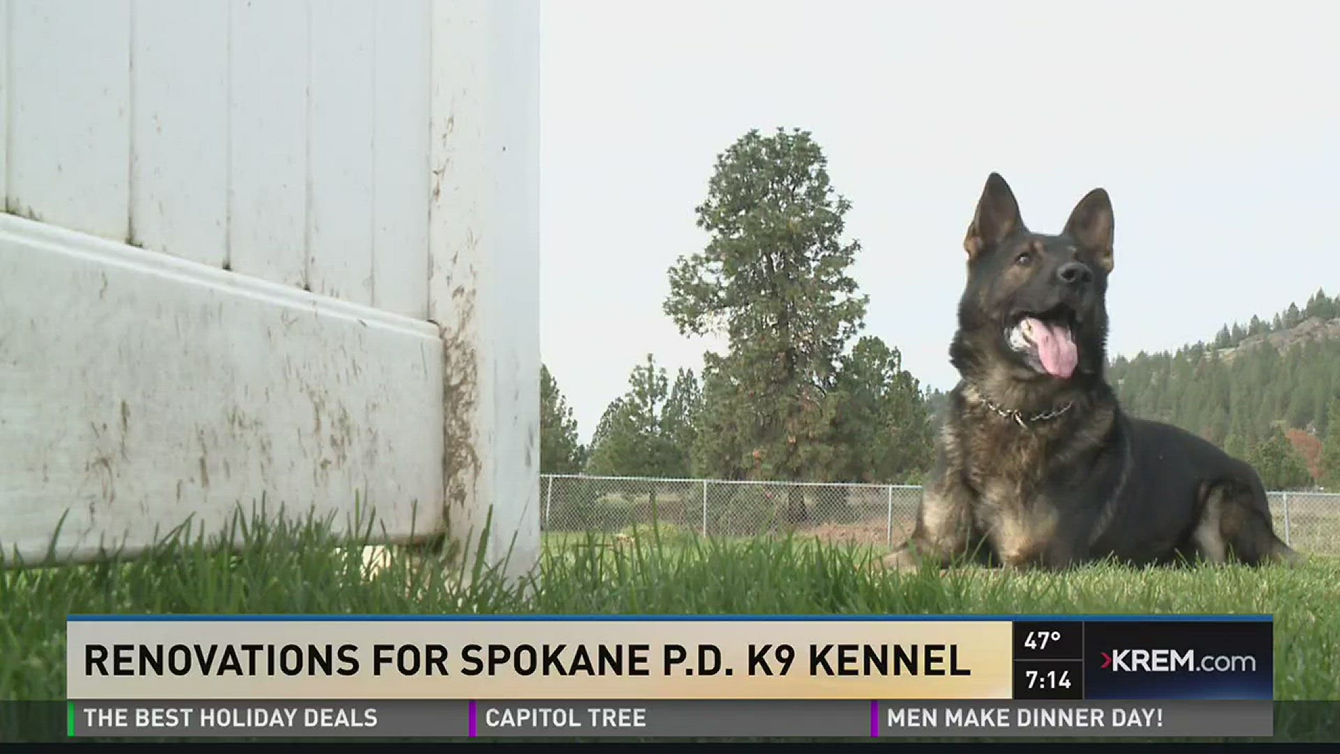 Renovations for Spokane PD K9 kennels