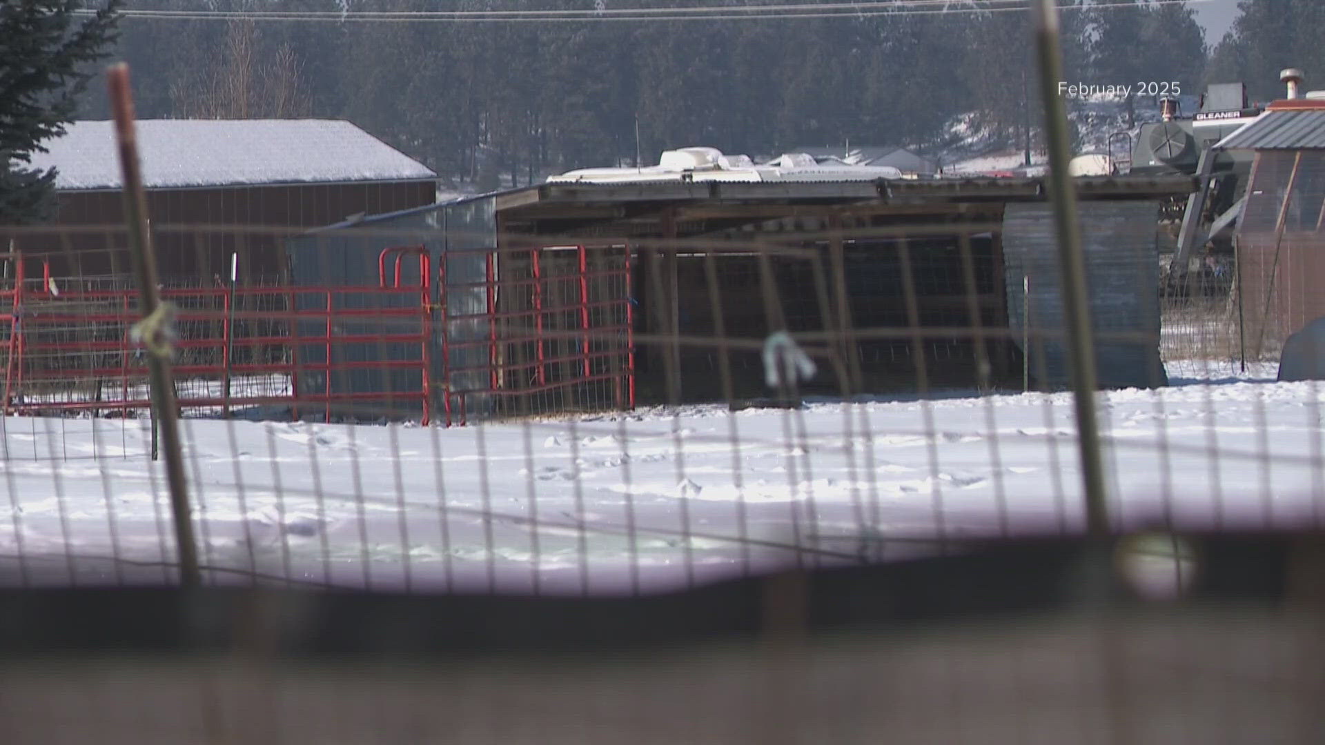 Following a SCRAPS investigation, 171 animals were seized and the owner of Wildwoof Kennels in Airway Heights is being charged with animal cruelty. 