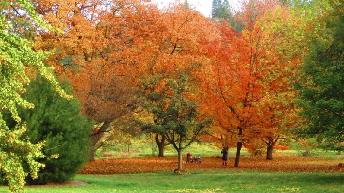 Five ways to celebrate fall in Spokane | krem.com