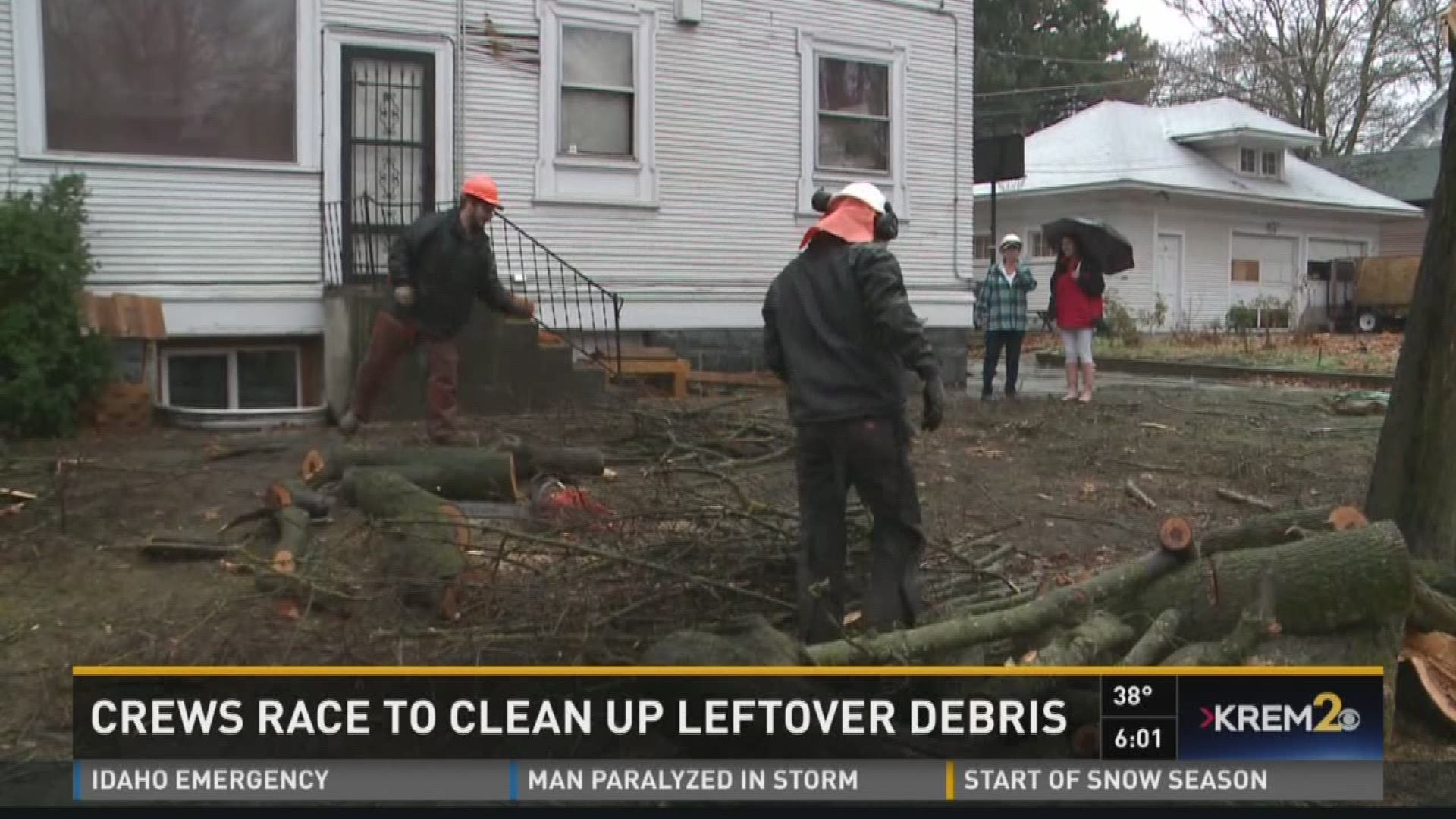 Tree companies short handed after historic wind storm