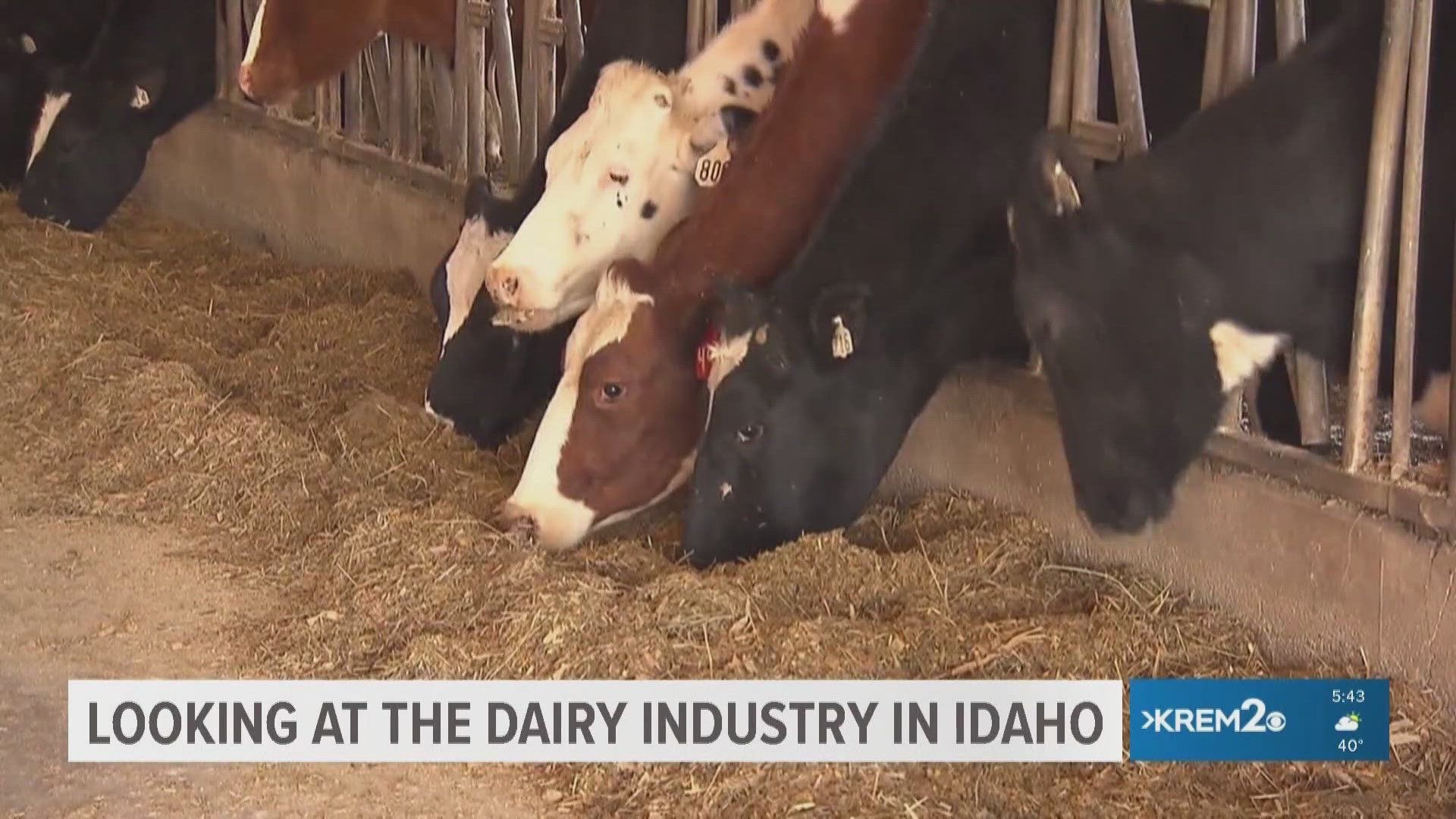 Idaho is among the top three U.S. states that produces cheese and milk.