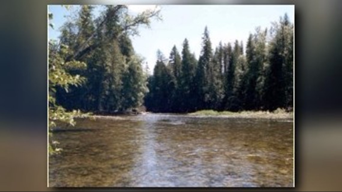 Idaho Forest Service gives free Christmas tree permits to 4th graders