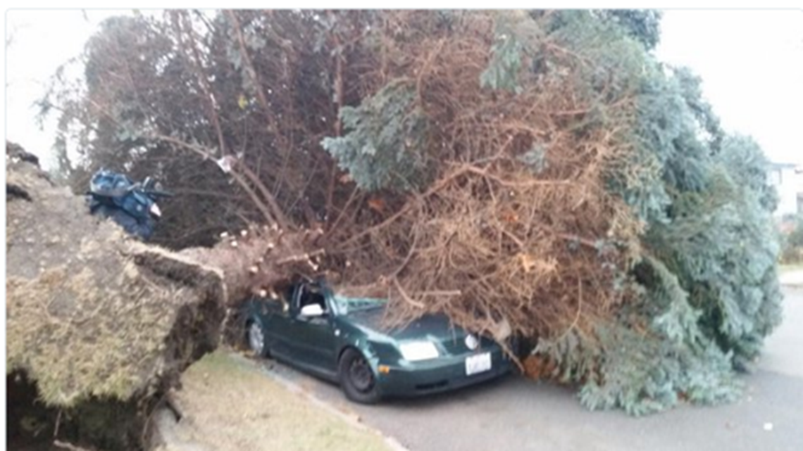 Destructive Spokane windstorm happened three years ago Saturday