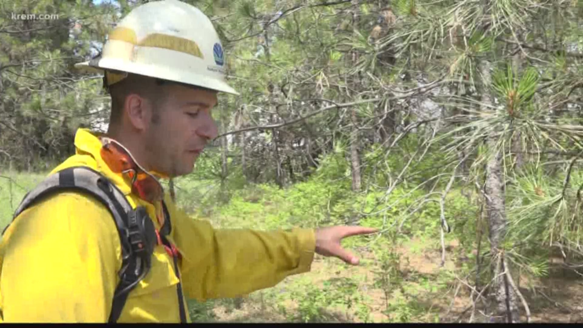 Firefighters urge residents to protect their homes during wildfire season (7-2-18)