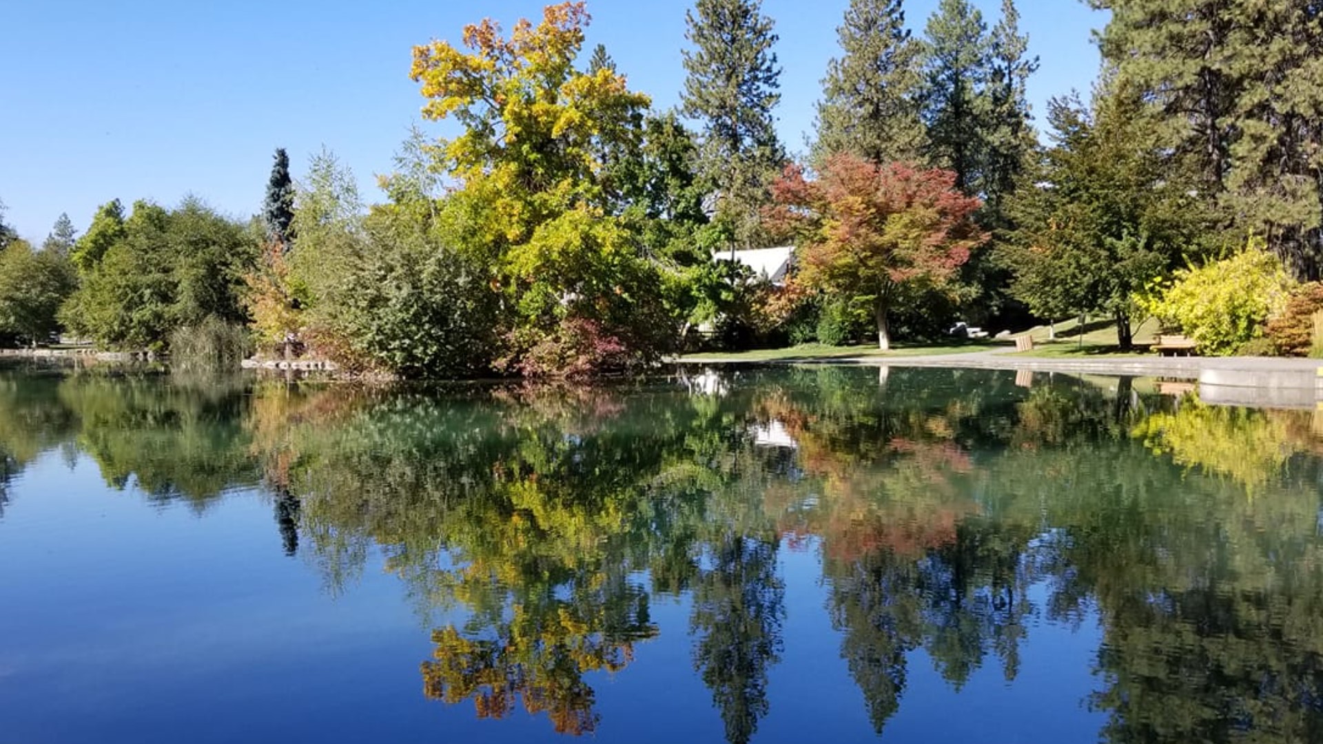 Park Bench Café at Manito Park opens Saturday | krem.com