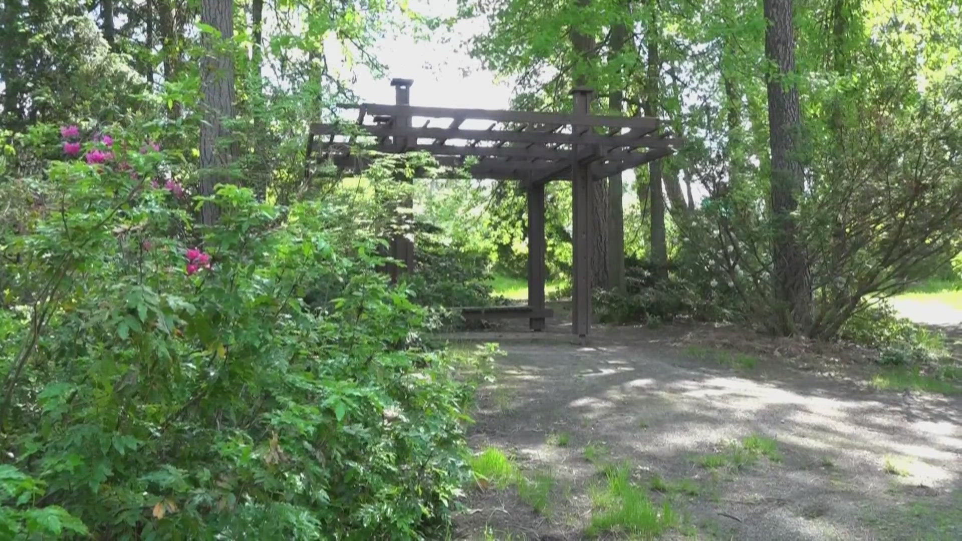 Here is what you can do to celebrate Arbor Day in the Inland Northwest.