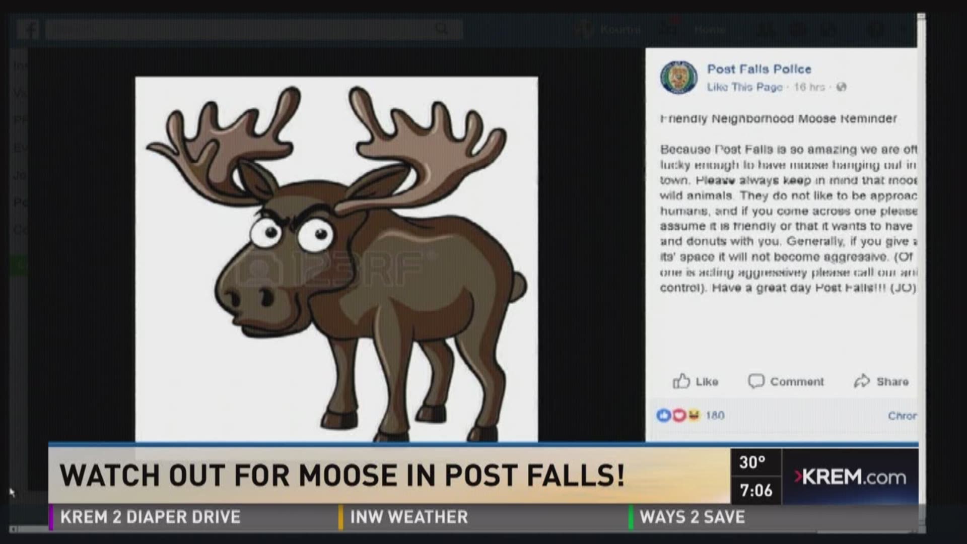 Moose videos online funny