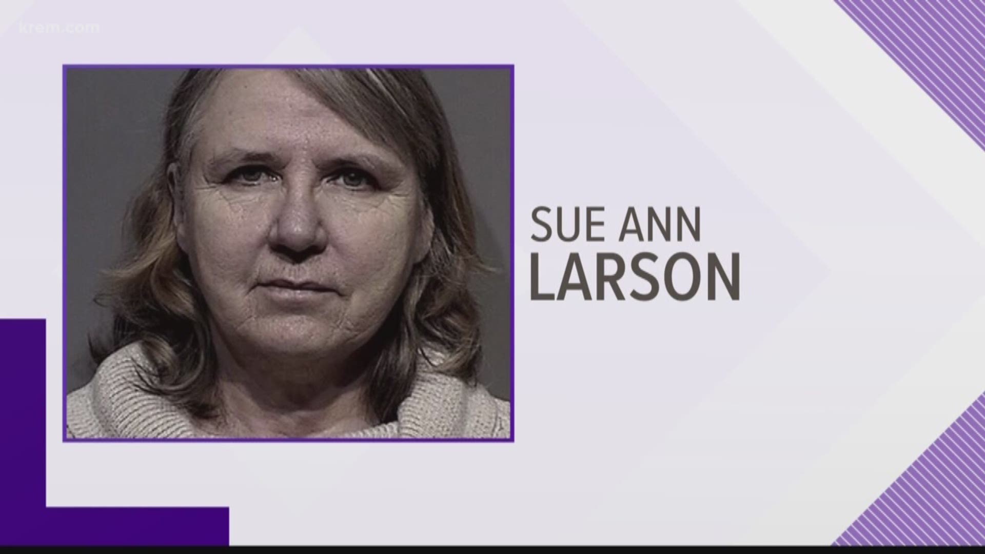A federal judge ruled that 63-year-old Sue Ann Larson must sell her home, recreational property and two classic cars to pay over $1.4 million in restitution.