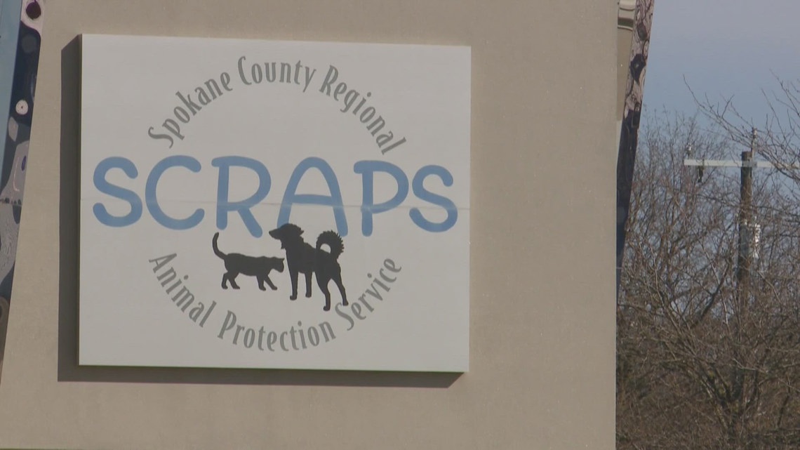 Spokane County rejects city's request to help choose new SCRAPS director, appears to remove city from 2026 budget