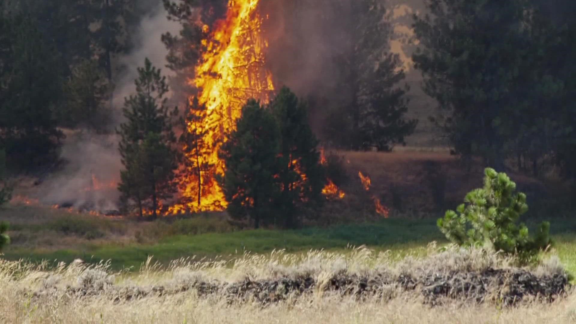 The fire has currently burned more than 1,600 acres and is 10% contained.