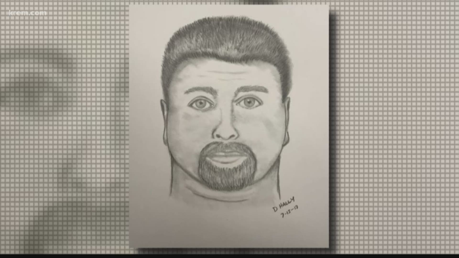 Moscow Police release sketch of sexual assault suspect