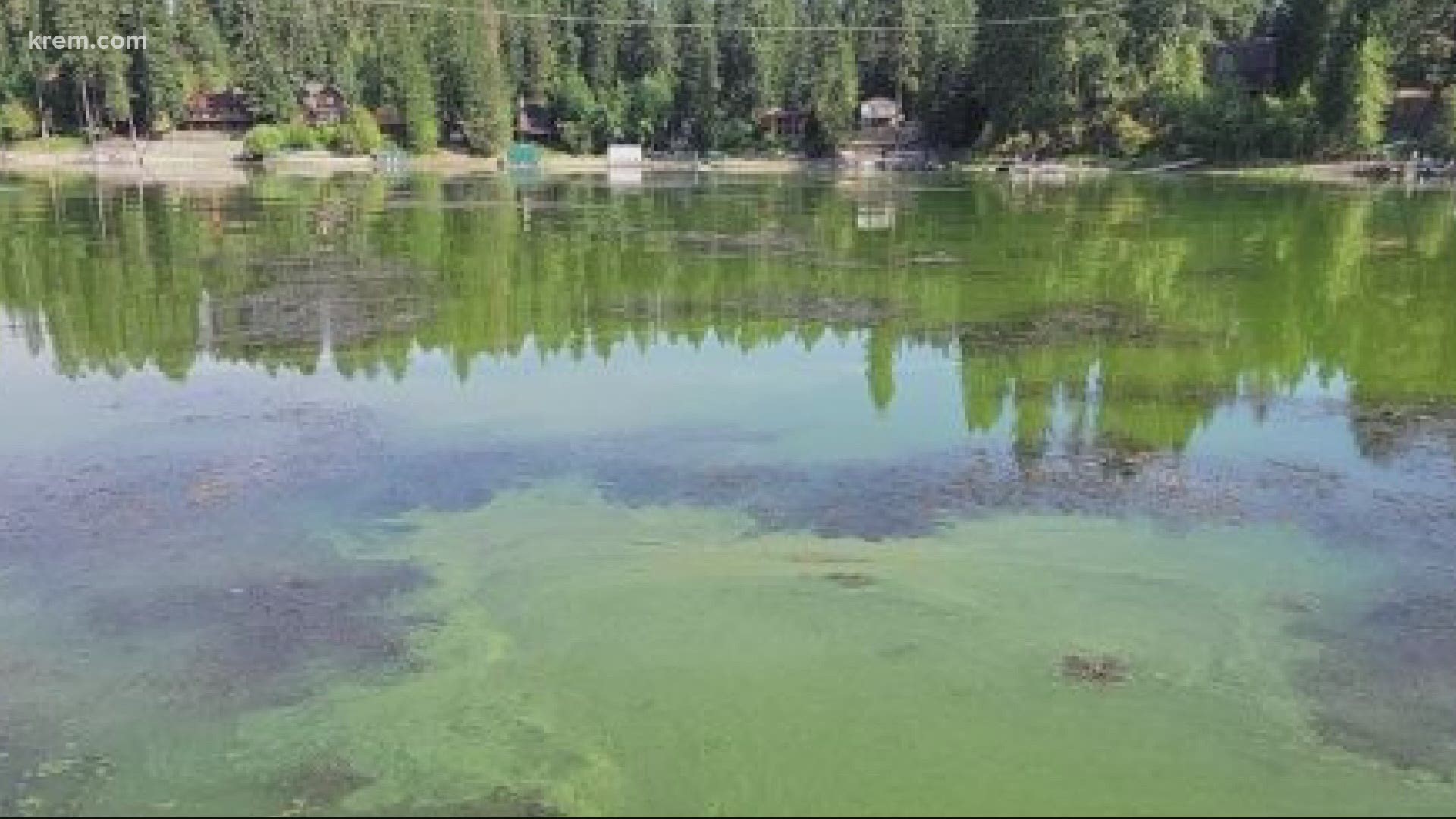 Panhandle Health District and the Idaho
Department of Environmental Quality have issued a public health advisory for the
northern portions of the lake.