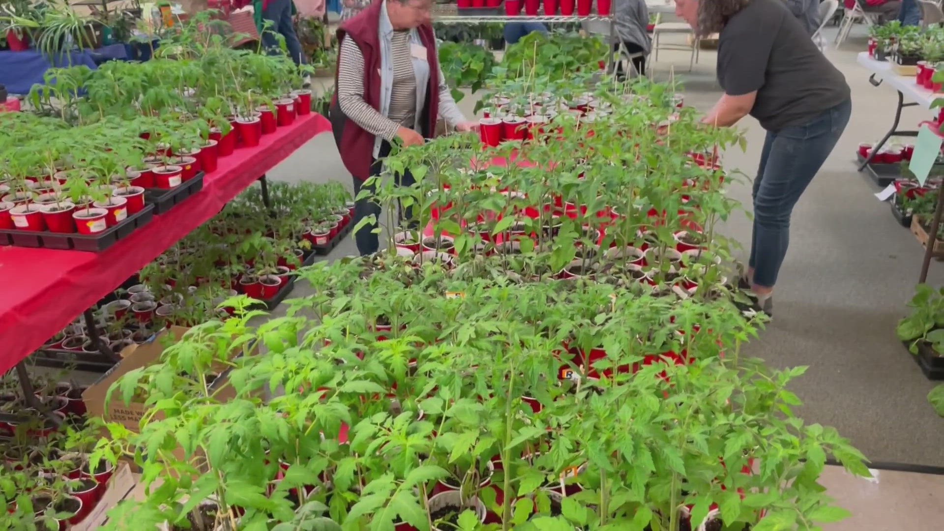 The Master Gardener Garden Fair & Plant Sale begins in Spokane today.