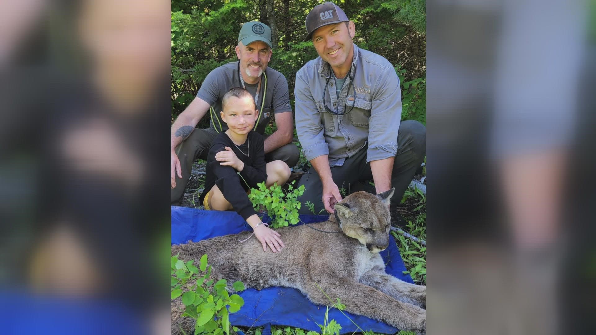 Lily Kryzhanivskyy, who was attacked by a cougar at a campground near Fruitland, went back in the woods for recovery therapy.