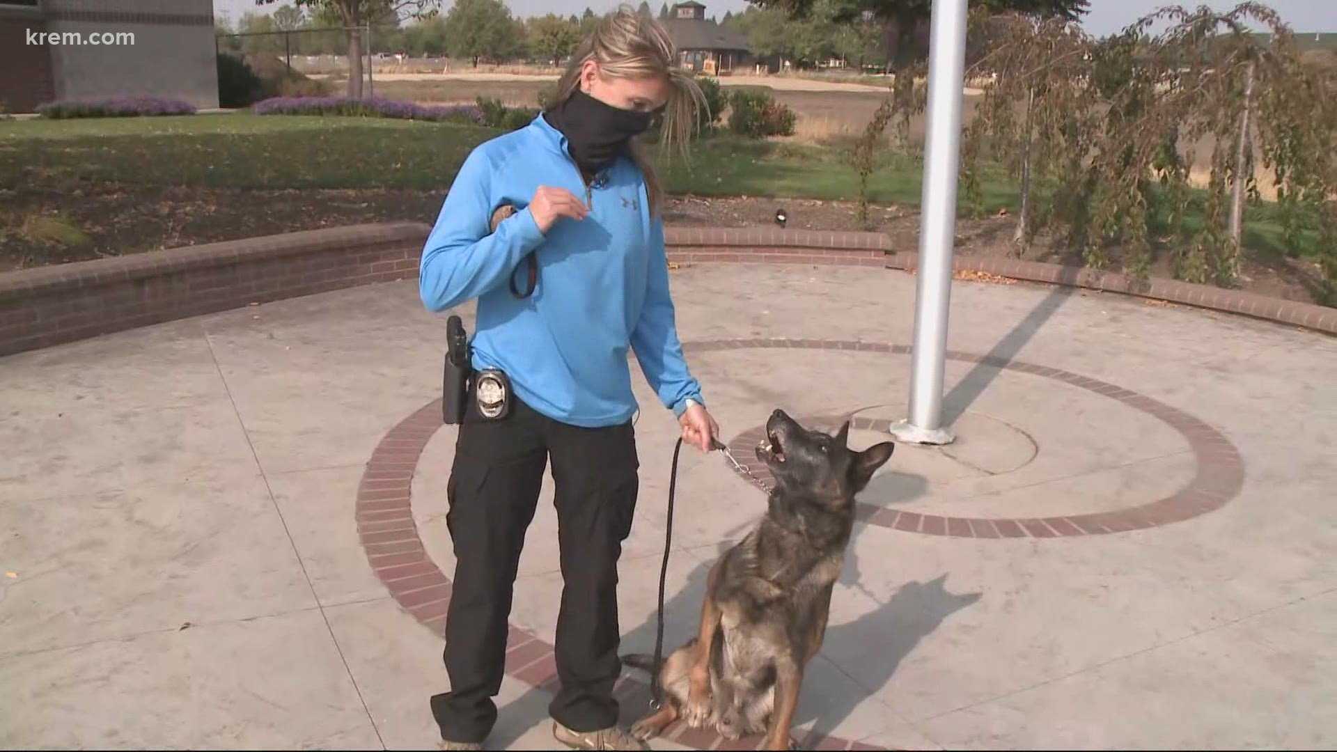 Coeur d'Alene City Council this week declared K9 Pecco, a 9-year-old Belgian Malinois, as surplus meaning the dog could formally retire.